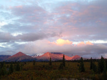 Load image into Gallery viewer, Custom tours